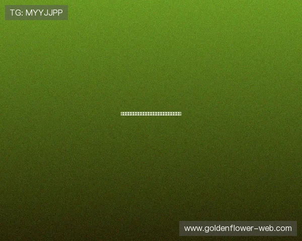 帕托芭芭拉：探索这位足球明星背后的成长与辉煌历程